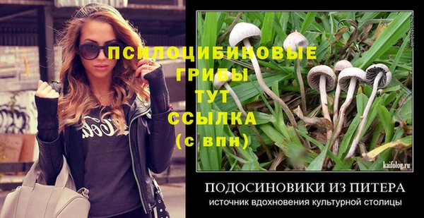 метадон Бородино