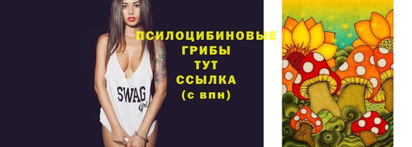 PSILOCYBIN Михайловск