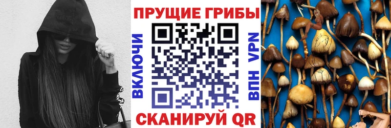 Псилоцибиновые грибы GOLDEN TEACHER  OMG ссылки  Верхоянск 