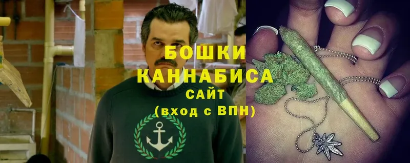 Бошки марихуана Bruce Banner  Верхоянск 